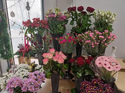 Kwiaciarnia Kwiatuszek MAŁGORZATA NIEMCZYK